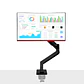 Rack para Monitor de 22