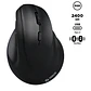 Mouse Inalámbrico Teros TE-5169N, 2.4G+Bluetooth, 2400 DPI, USB, Color Negro - Miniatura 1