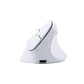 Mouse inalámbrico TEROS TE-1236S, RGB, Blanco, 6 botones con rueda - Miniatura 4