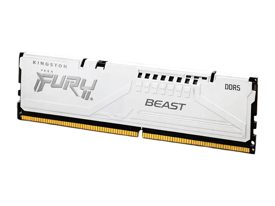 Kingston KF556C36BWE-16 - Memoria Fury Beast, 16GB DDR5 -5600MT/s, CL36, 1.25 V 1