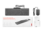 Lenovo GX31R09788 - Combo Kit de Teclado + Mouse 310, Interfaz: USB-A con cable, en Español (LA) - Miniatura 4