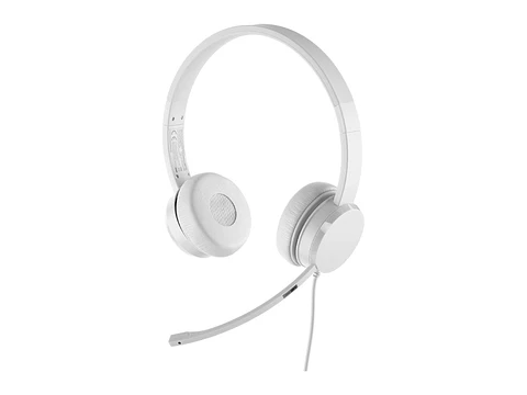 Lenovo GXD1E71385 - Auriculares Estereo con Microfono 110, Interfaz USB Tipo-A, Color Cloud Grey (Gris)