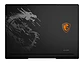MSI 9S7-265122-275 - NB Gaming Raider 16 HX B2WH, 16