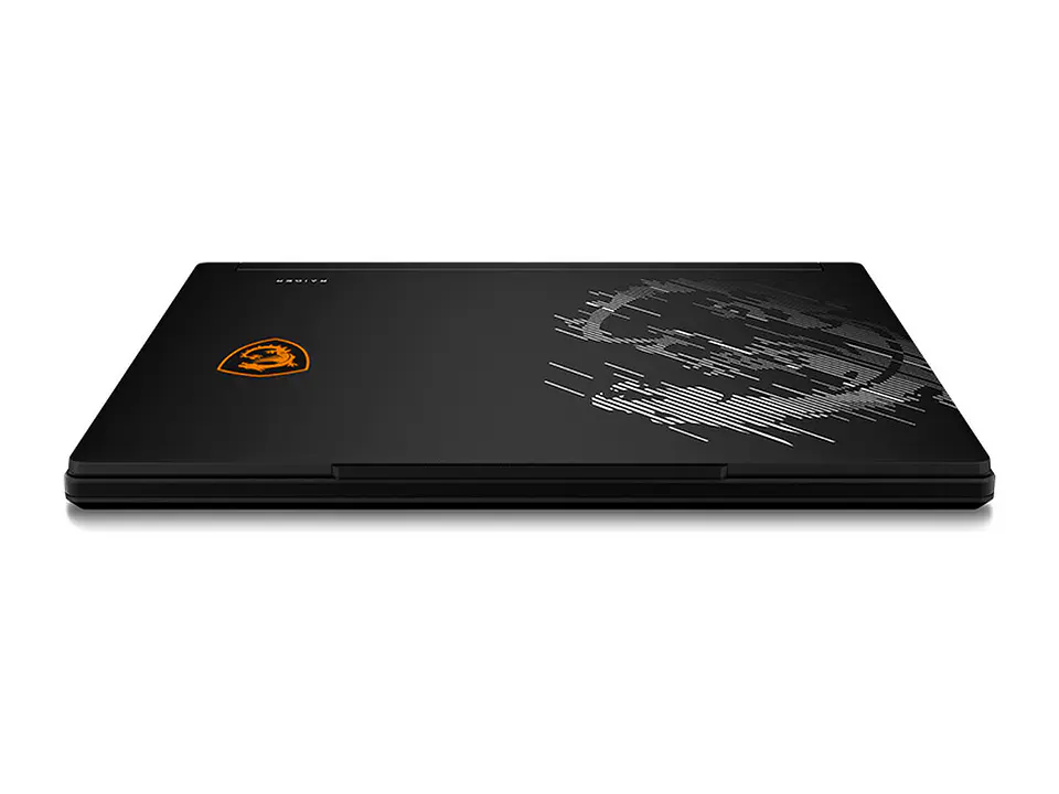 MSI 9S7-265122-275 - NB Gaming Raider 16 HX B2WH, 16