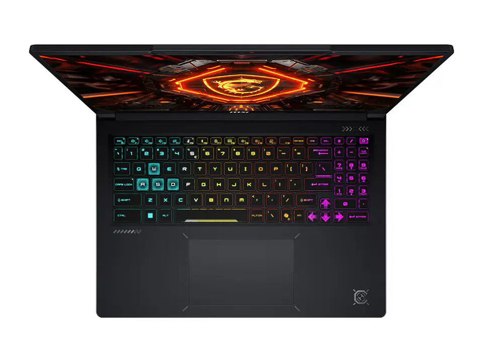MSI 9S7-265122-272 - NB Gaming Raider 16 HX B2WI 16