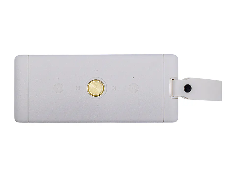 TEROS LEG6052 - Parlante inalámbrico Legacy LEG-6052BG, BT 5.3, 40 W, 4000 mAh, USB 3