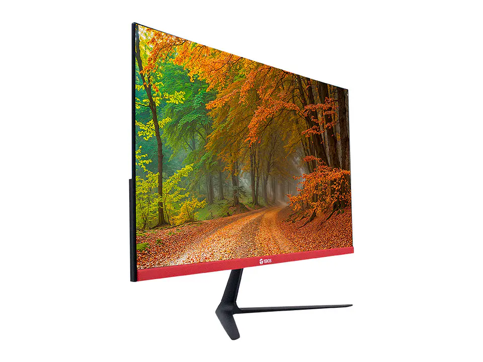 TEROS TE-2403S - Monitor curvo, 23.8