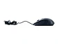 TEROS TE-1229S - Mouse óptico, USB, 4 botones, negro - Miniatura 5