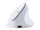 TEROS TE-1236S - Mouse inalámbrico, RGB, Blanco, 6 botones con rueda - Miniatura 4