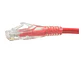 LinkBasic CAA01-UC6-1-C - Patch Cord UTP Multfilar RJ-45 Cat6 1mt Rojo - Miniatura 3