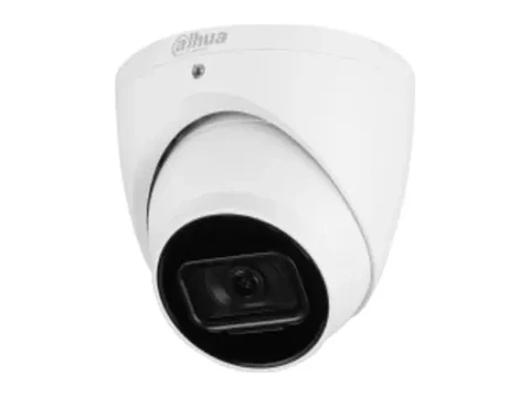 Dahua DH-IPC-HDW3241EM-S-S2 - Camara IP Eyeball 2MP Wizsense, IR 50M, Wdr, Smd 4.0, IP67, PoE