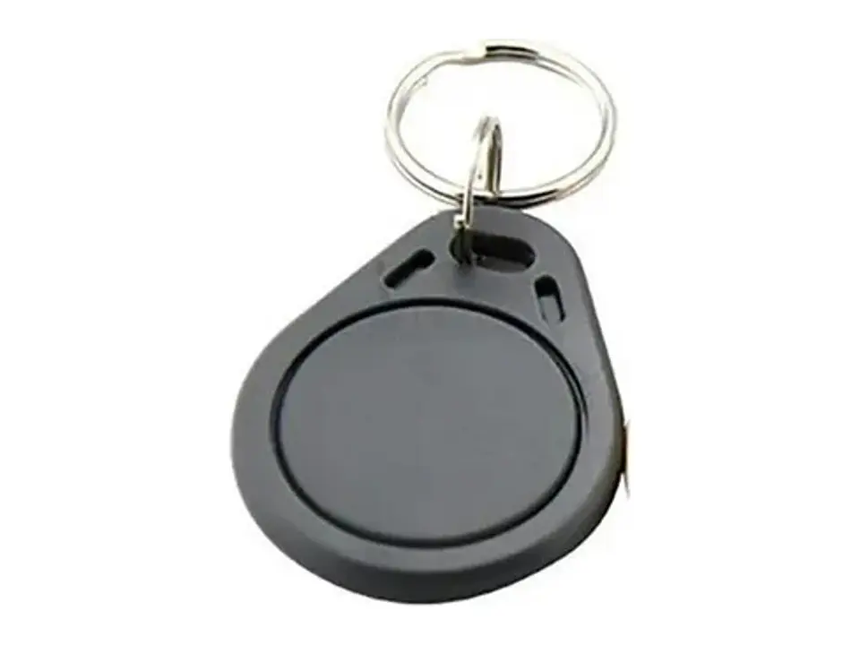 Tag de Proximidad RFID 125KHZ Tipo Llavero Compatible con Dispositivos Zteco 1