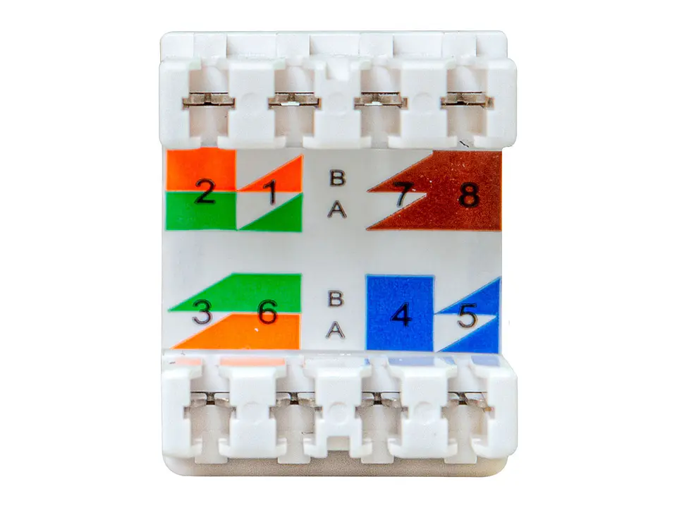LinkBasic JKA09-UC6-BL - Jack UTP RJ-45 Cat6 Negro 2