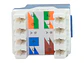 LinkBasic JKA09-UC6-BU - Jack UTP RJ-45 Cat6 Azul - Miniatura 2