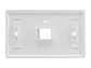 LinkBasic OUS01 - Placa de pared para 1 Módulo - Miniatura 2
