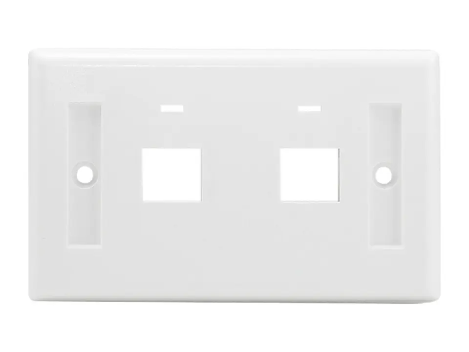 LinkBasic OUS02 - Placa de pared para 2 Módulos 1