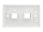 LinkBasic OUS02 - Placa de pared para 2 Módulos - Miniatura 2