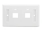 LinkBasic OUS02 - Placa de pared para 2 Módulos - Miniatura 3