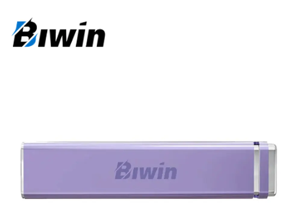 SSD Externo Biwin PD2000 1TB Purpure (BPD200001TB-RGZ) 1