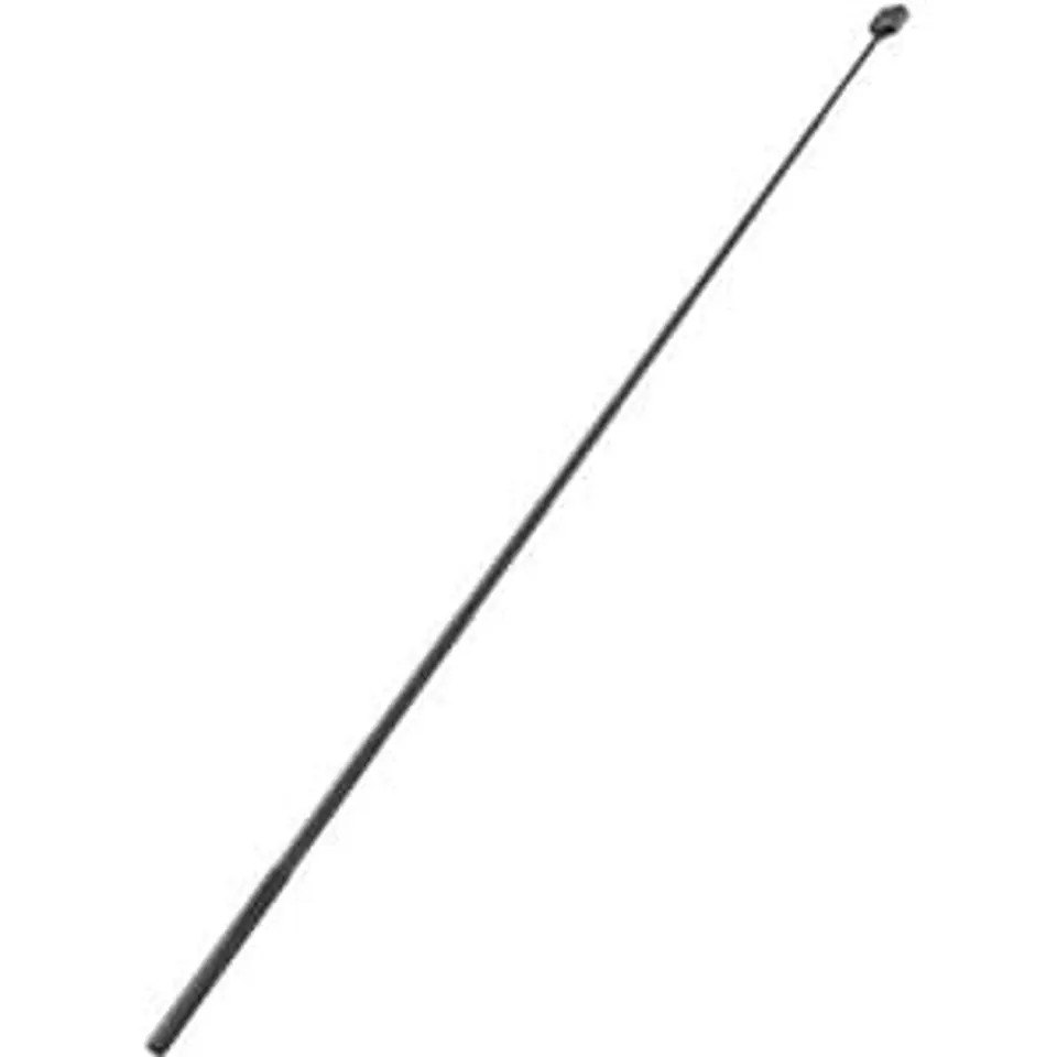 GoPro AGXTM-002 - Bastón de Extensión de Fibra de Carbono 2.7 m 1