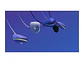 Logitech 910-005795 - Mouse G203 Lightsync Optical 8000 DPI RGB Blue - Miniatura 3