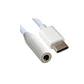 CABLE TYPE C A AUXILIAR 3.5 HEMBRA - Miniatura 2