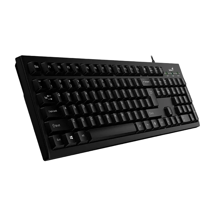 TECLADO GENIUS KB-100  2