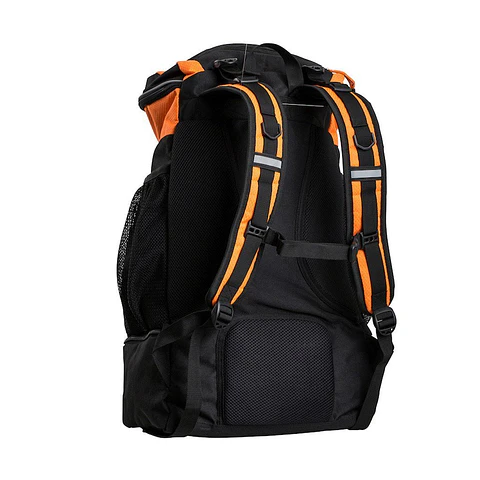BOLSA DE TRANSICIÓN
