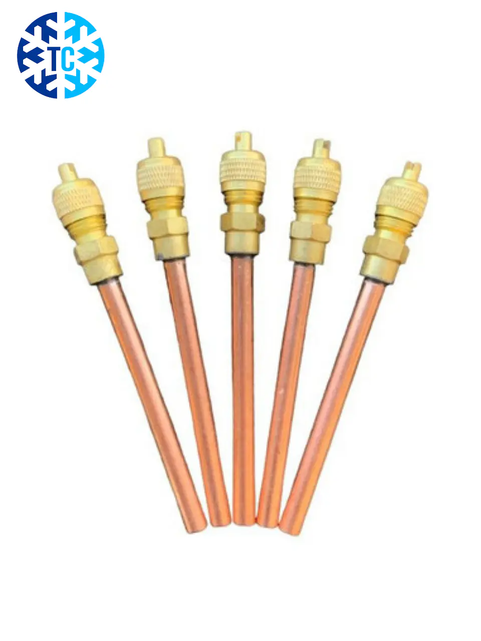 Válvula De Carga O Apendice De Carga 1/4 Pack 5 Unidades 1