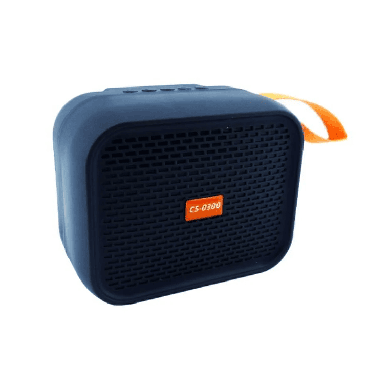 Parlante Portátil Recargable Bluetooth 3W CS-0300 1
