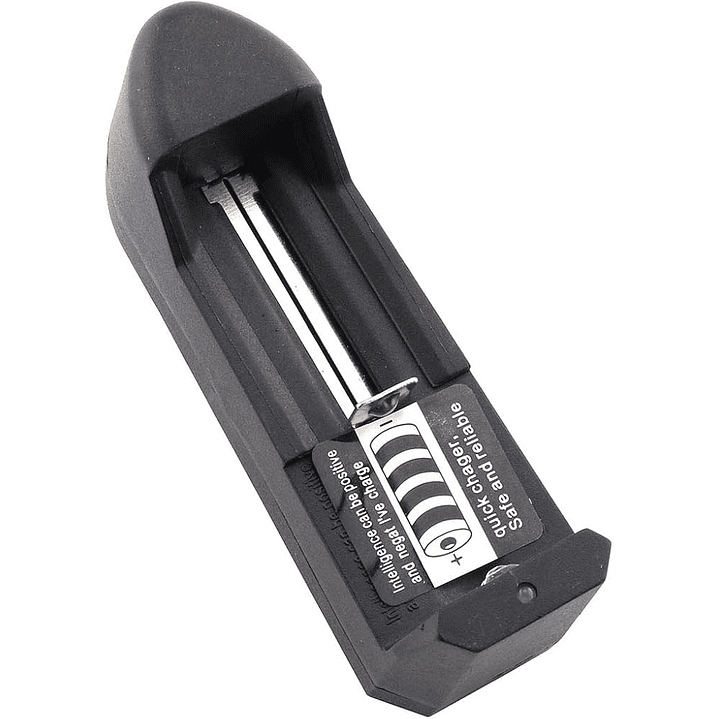 Cargador de Pilas 18650 Universal Individual CH100 1