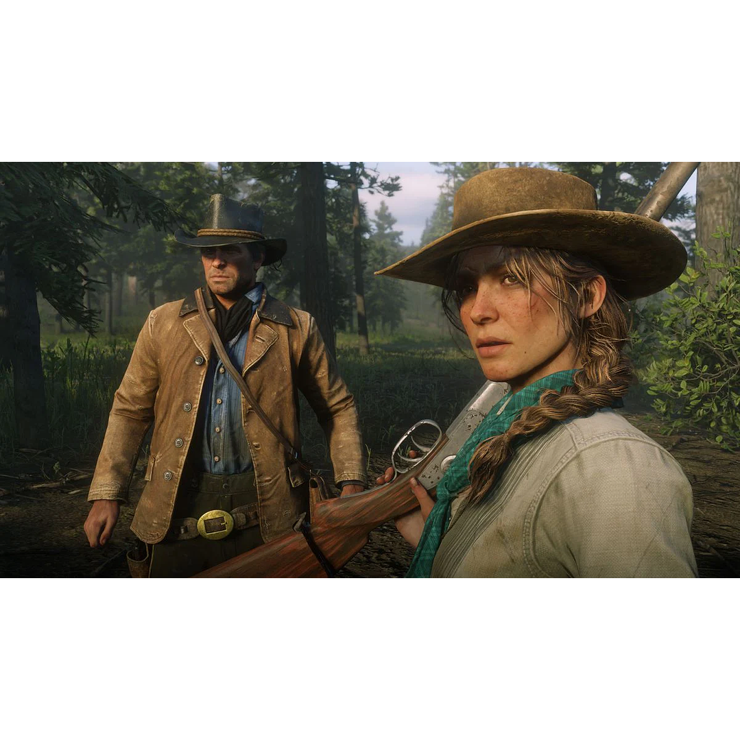 Red Dead Redemption 2 PS4 2