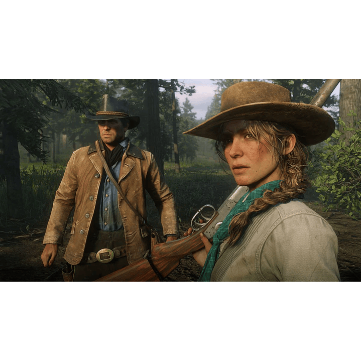Red Dead Redemption 2 PS4 2