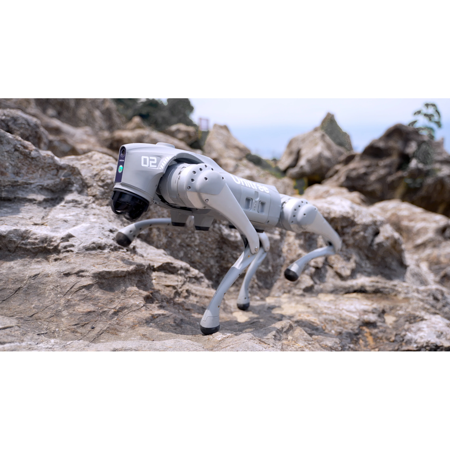 Unitree Go 2 Air - Perro Robot con Control Remoto 5