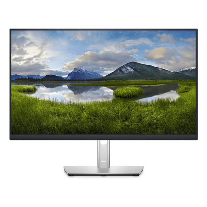Monitor Dell P2425H HDMI/DP/USB 1