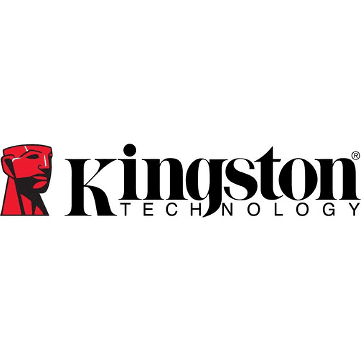 Kingston Kc3000 Ssd M.2 Nvme Pcie 4.0 1tb 2280 Negro 2