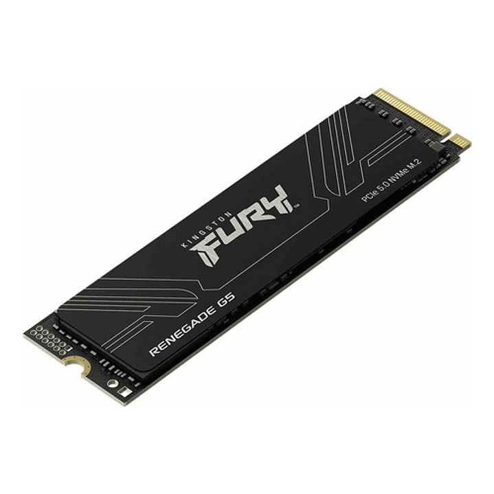 Kingston Fury Renegade Ssd 4tb Interno  1