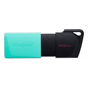 Memoria Usb Kingston Datatraveler 256gb Usb 3.1 Gen 1 