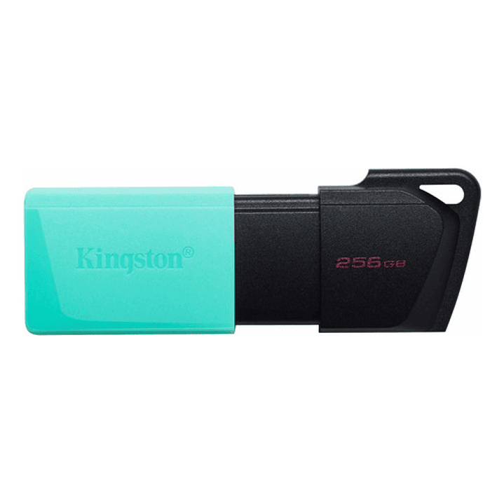 Memoria Usb Kingston Datatraveler 256gb Usb 3.1 Gen 1  1