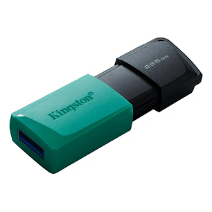 Memoria Usb Kingston Datatraveler 256gb Usb 3.1 Gen 1 