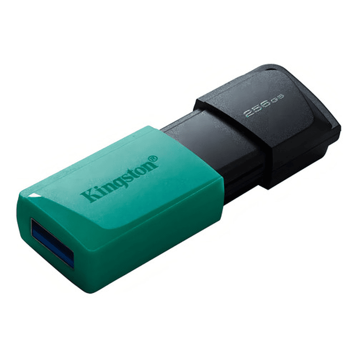 Memoria Usb Kingston Datatraveler 256gb Usb 3.1 Gen 1  2