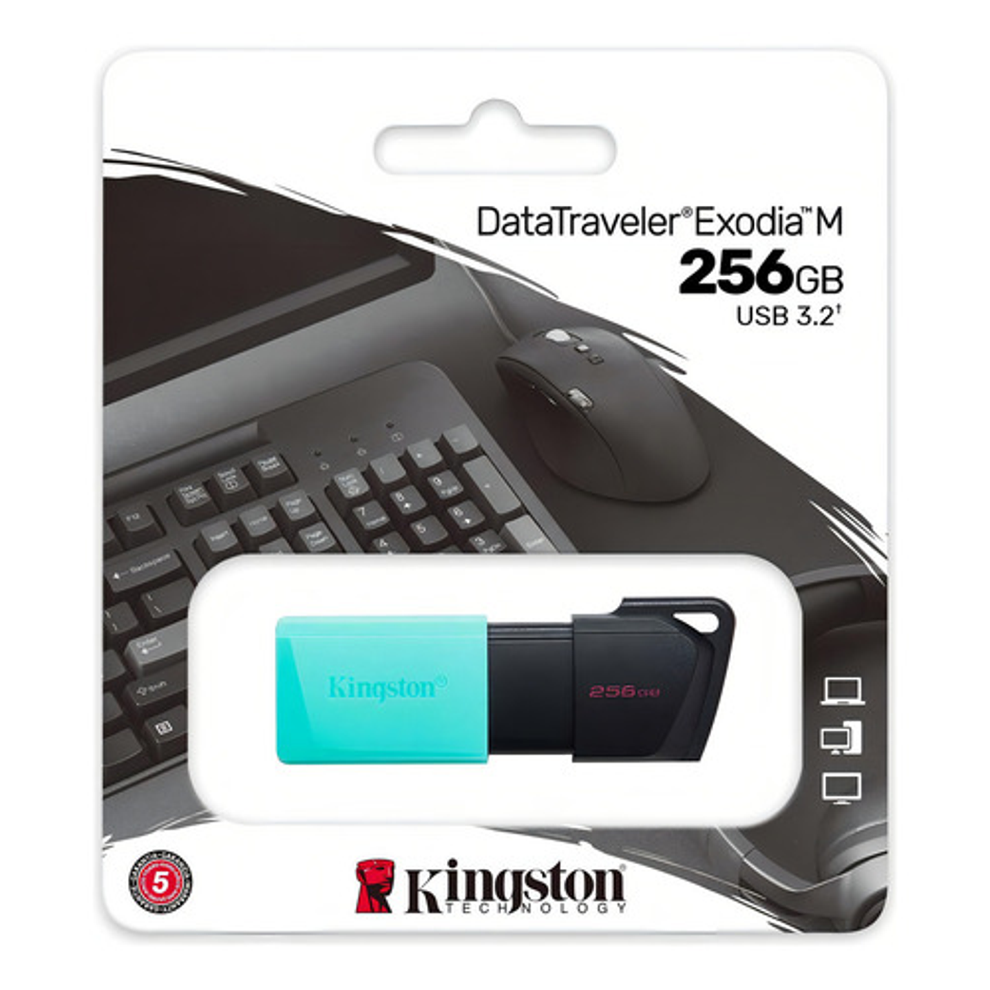 Memoria Usb Kingston Datatraveler 256gb Usb 3.1 Gen 1  3