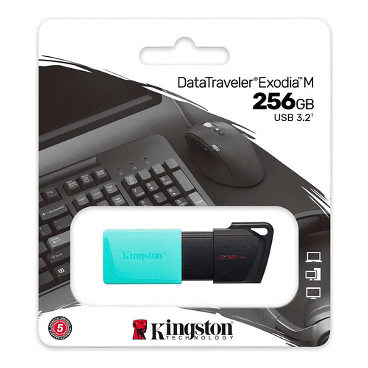 Memoria Usb Kingston Datatraveler 256gb Usb 3.1 Gen 1  3