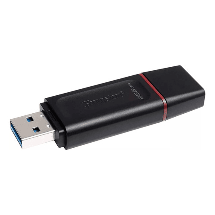 Kingston Datatraveler Usb 3.2 Gen 1 256gb  4