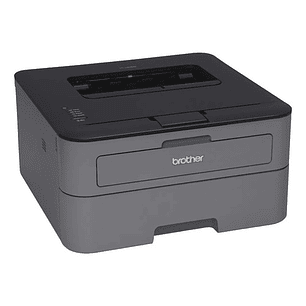 Impresora Láser Brother Hl-l2320d Gris/negro