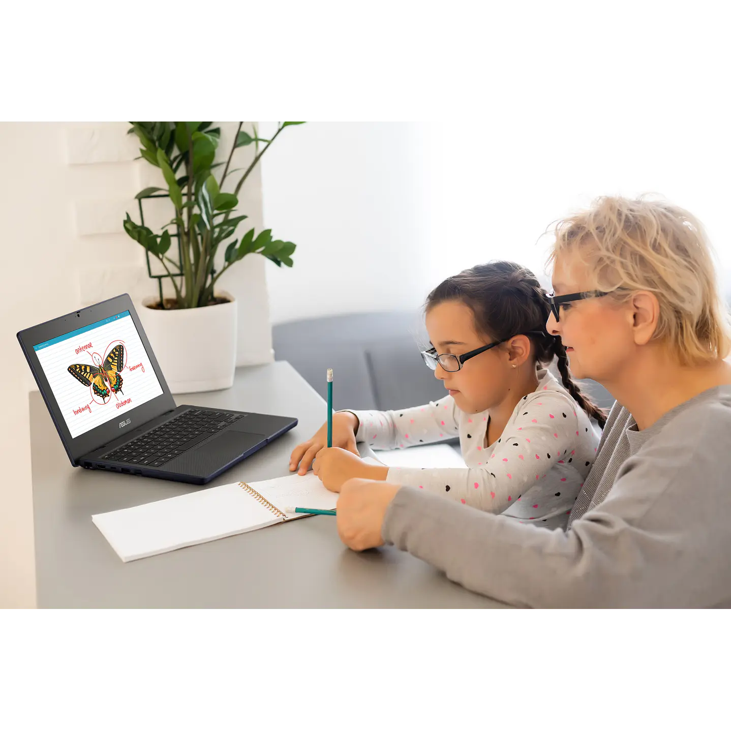 Notebook Asus Chromebook CZ1104CM4A-MZ0183C 11.6