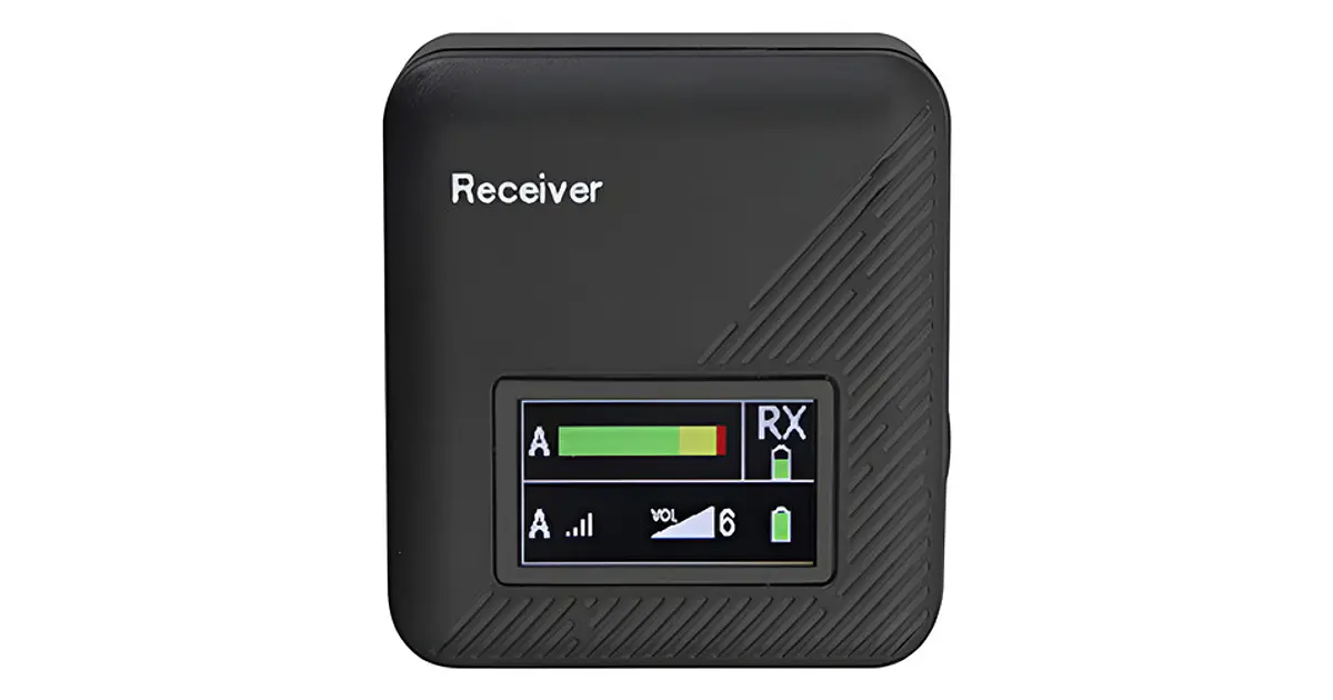 Microfono Inalambrico Audio Profesional Con Reducción Rui...