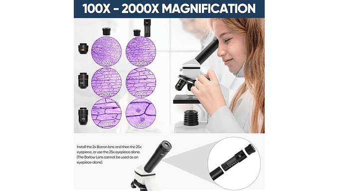 Microscopio Dcorn 100x-2000x Con Luz Led, Adaptador Móvil 5