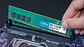 Memoria Ram Crucial 8gb Ddr4 2400mhz Udimm Color Verde - Miniatura 3