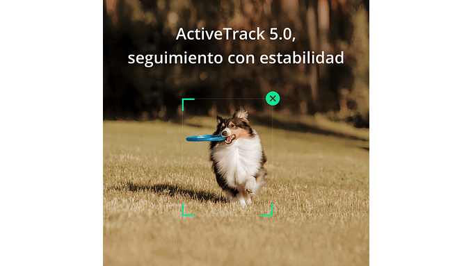 Estabilizador Dji Om Se Color Gris 3